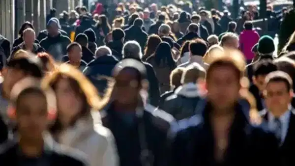 TÜİK 2025 yükseköğretim istihdam göstergelerini açıkladı: En çok kazandıran ve en hızlı iş bulan bölümler belli oldu