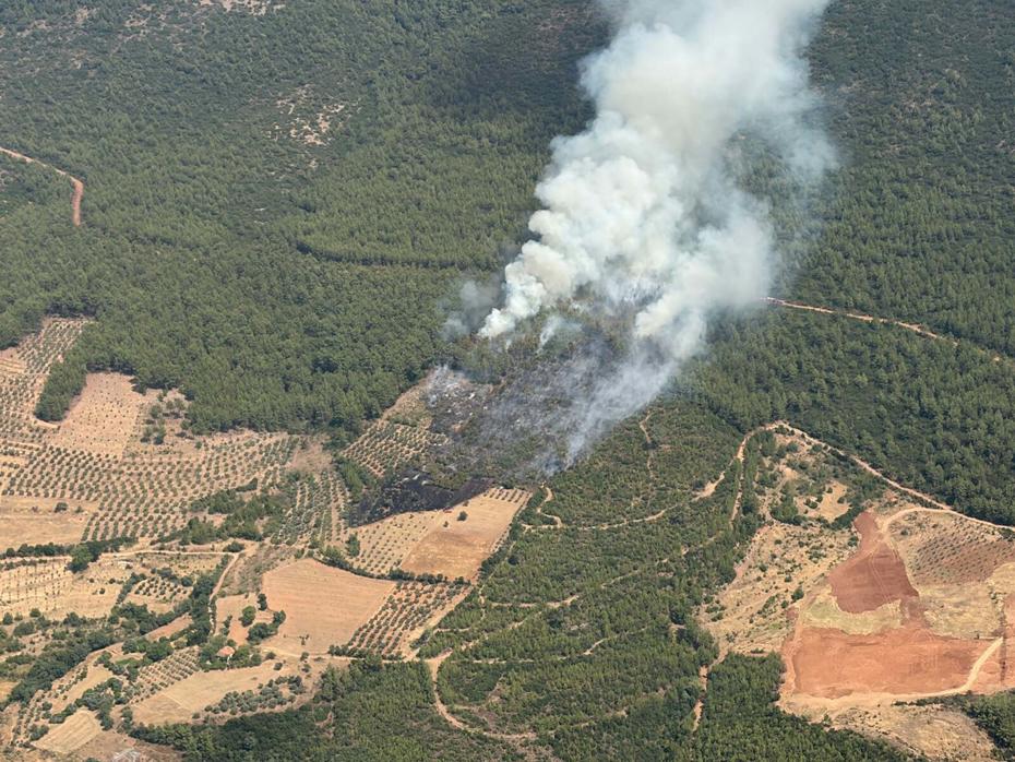 Muğla Yatağan'da Orman Yangını Kontrol Altına Alındı