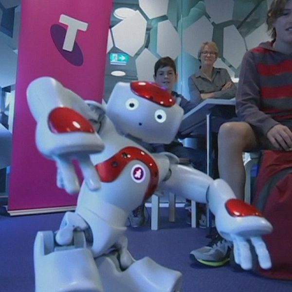 Robot eğitimcileri çok yakında sınıflara girecek