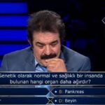 Ciğerin ağırlığı kaç? Hangi organ daha ağırdır? Kalp, Pankreas, Karaciğer, Beyin