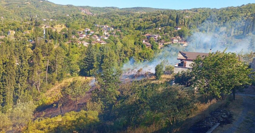 Kocaeli’de orman yangını – Son Dakika Haberleri