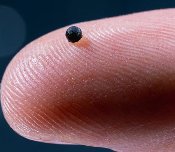 “Mikro Robot”ta Yeni Dönem: Testler Başarıyla Gerçekleşti