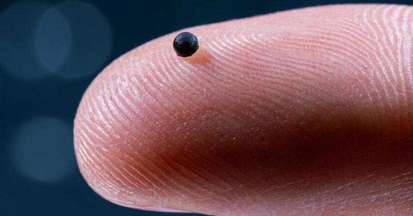 “Mikro Robot”ta Yeni Dönem: Testler Başarıyla Gerçekleşti